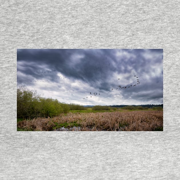 Geese Flying Off Under Stormy Skies by JeffreySchwartz